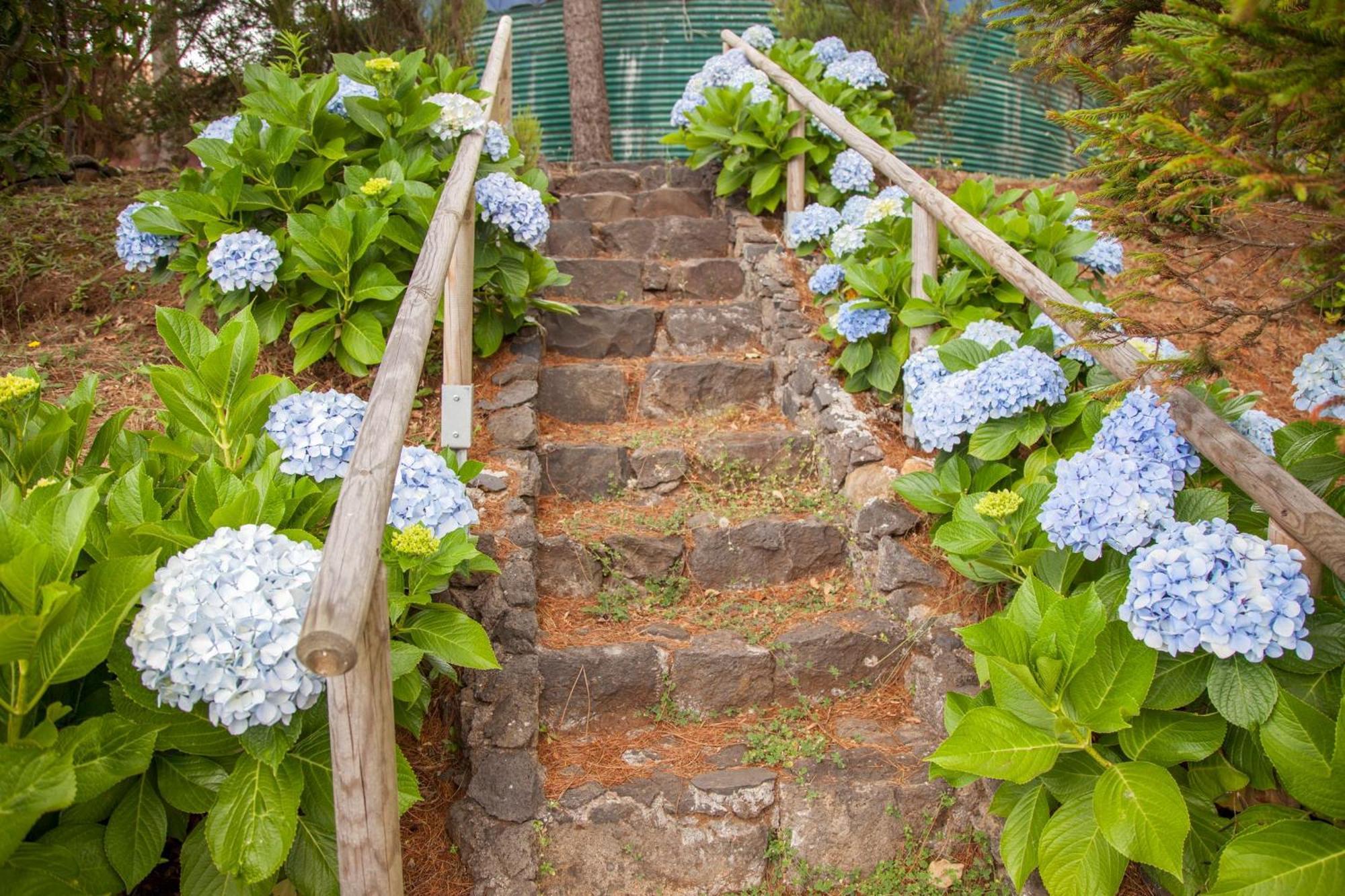 Quinta Do Santo By Lovelystay Santo Antonio da Serra Bagian luar foto