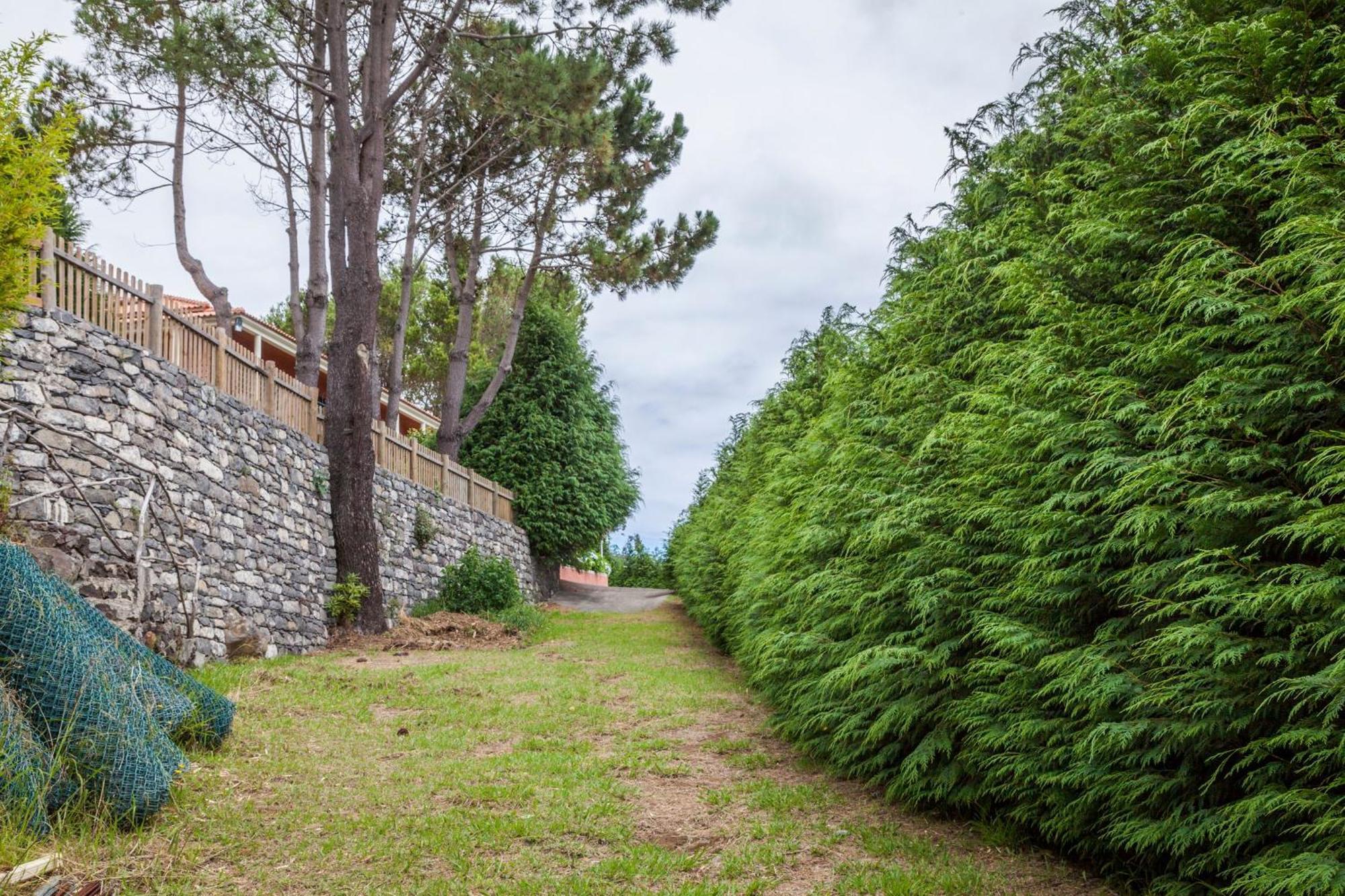 Quinta Do Santo By Lovelystay Santo Antonio da Serra Bagian luar foto